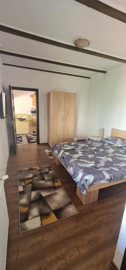 La Ovi Hotell Făgăraş Eksteriør bilde